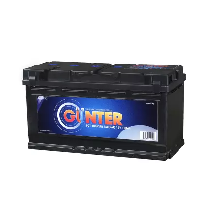 GUNTER - 100 (о.п.) GUNTER - 100 (о.п.)